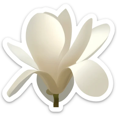 minimalist-magnolia-flower-with-soft-white-and-light-beige-petals-on-a-plain-white-background,-no-extra-details sticker
