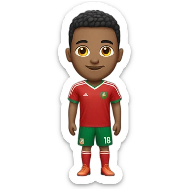 Someone with a Moroccan national team jersey sticker