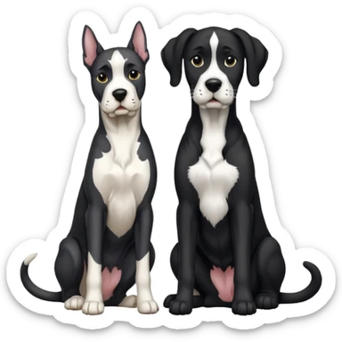 Large Black and white great dane dog sitting with a black and white cat sticker