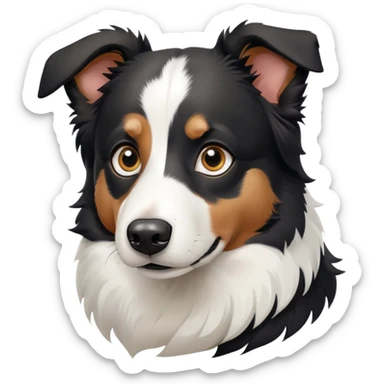 Black and white border collie shepherd dog with alert expression sticker