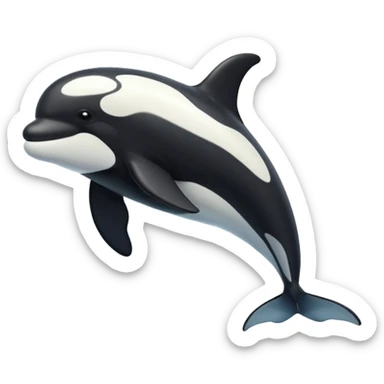 killer whale sticker