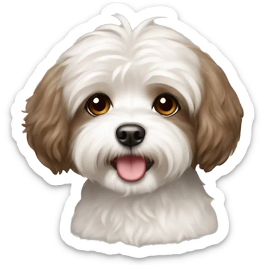 Brown bichon havanese with brown hair girl sticker