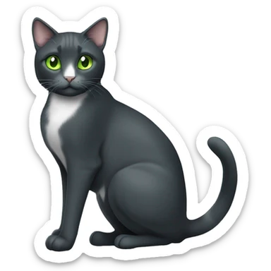 Friendly dark grey tuxedo cat with light green eyes sticker