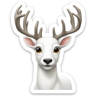 whitedeer sticker