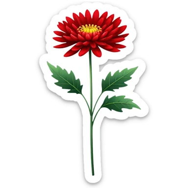 single Bright Red Chrysanthemum, straight stem sticker