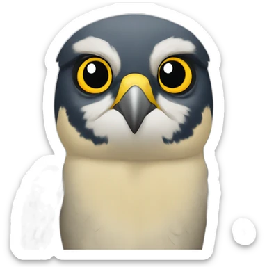 Peregrine falcon sticker