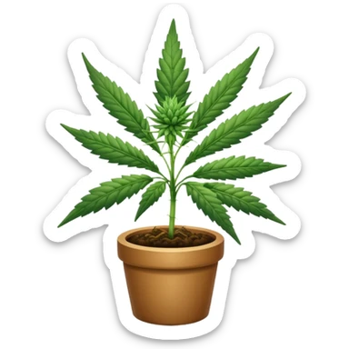 Cannabis sticker