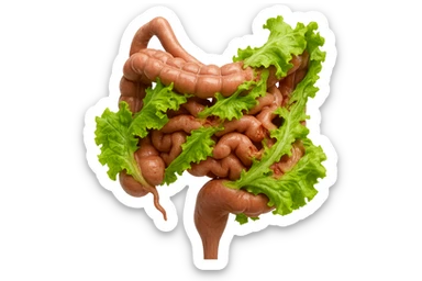 foglie di insalata che attaccano un intestino anatomico umano per distruggerlo, iperrealisticoù sticker