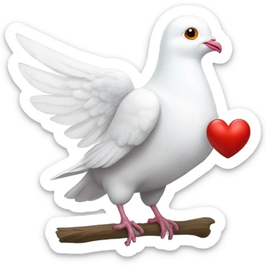 White pigeon with heart sticker