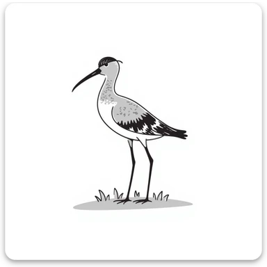Curlew sticker