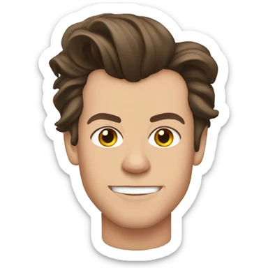 Harry Styles sticker