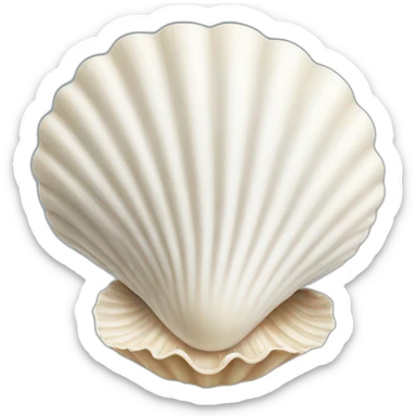 White Sea shell sticker