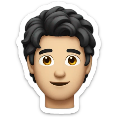 Gay dumb man with black hair sticker