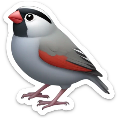silver java sparrow sticker