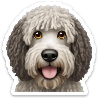 Spanish water dog with rastas sticker