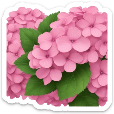 Pink hydrangeas  sticker