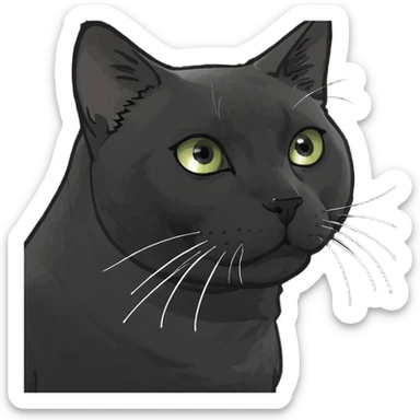 Cat wearing a black t shirt  sticker