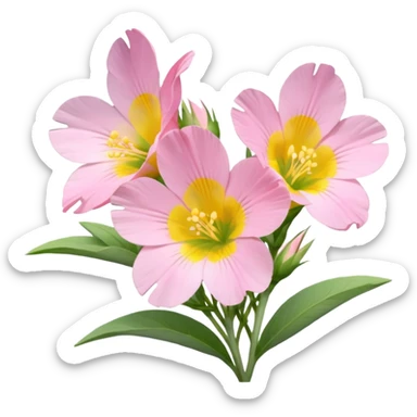 Pink evening primrose flowers sticker