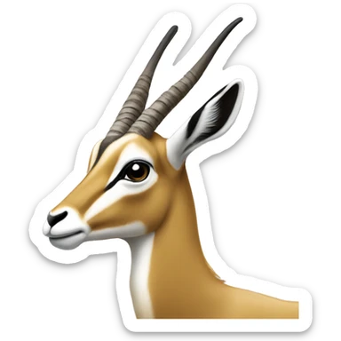 springbok sticker
