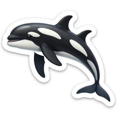 killer whale sticker