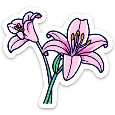 Delicate pink lily flower with soft petals and dark pink accents, decorative design sticker