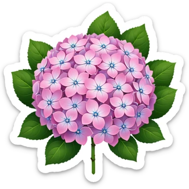 Hydrangeas  sticker