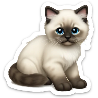 Seal colorpoint ragdoll kitten sticker