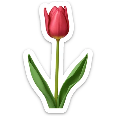Tulip sticker