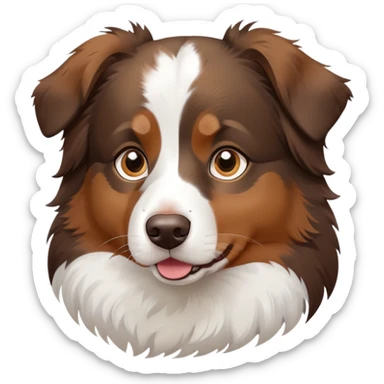 Australian shepeard tricolor brown and White  sticker
