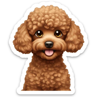 Red toy poodle the name moon sticker