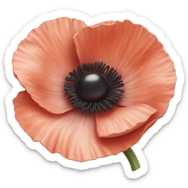 Cute realistic poppy sticker