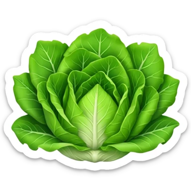 lettuce, not flower shaped, normal shaped sticker