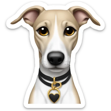 a beige with tabby colour whippet full body his The tip of the tail white colour and his left foot white color up up and a leash going out of frame, with a dark snout, black and white mouth patchy and black angel wing like eyes sticker