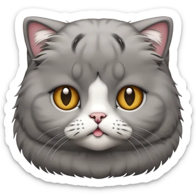 Scottish fold cat emoji  sticker