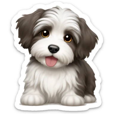 Havanese puppy sticker