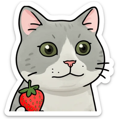 Cat hold a strawbarry in the Hand  sticker