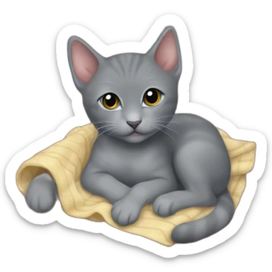 Korat kitten snuggling on blanket sticker