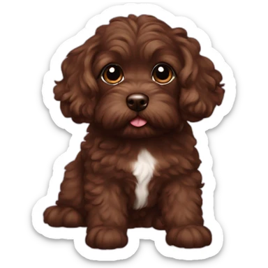 chocolate colored Havapoo sticker