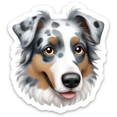 Blue Merle Australian shepherd with one blue eye and one brown eye sticker