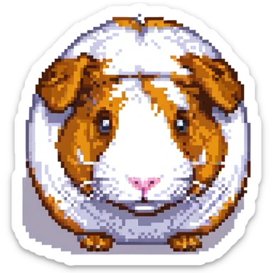 guinea pig sticker