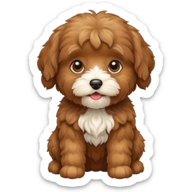 brown mini cavapoo  sticker