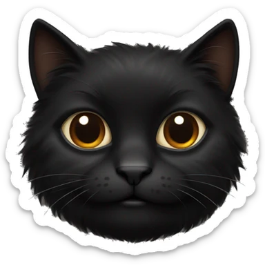 Fluffy black cat with brown eyes  sticker