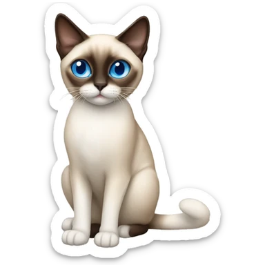Snowshoe Siamese cat with blue eyes one side of his face dark brown and other cream sticker