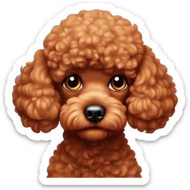 red toy poodle looking really sad sticker