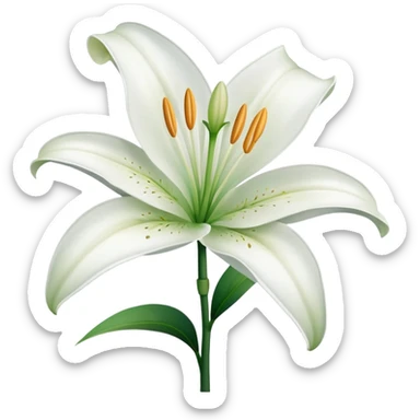 White lily flower sticker