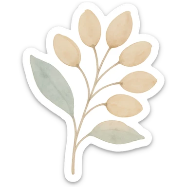 illustration of Kinkéliba seeds, natural style, soft colors, no text sticker