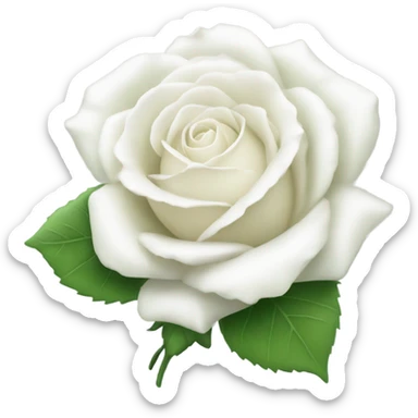 a beautiful white rose sticker