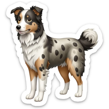 Merle Border Collie dog full body sticker