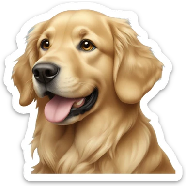 Golden retriever with blue hot sticker