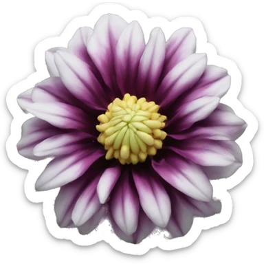black dahlia flower sticker